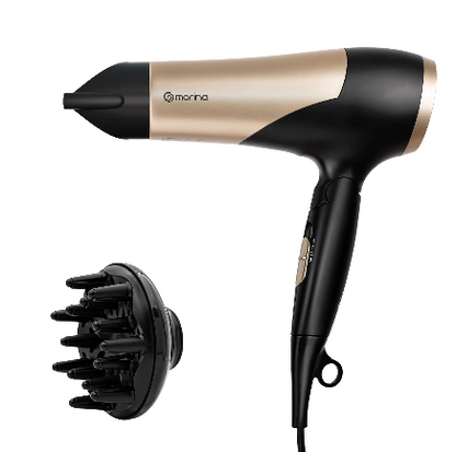 Secador de Cabelo profissional Hair dryer,  220V 110V